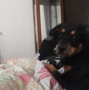 Meet your Posher, Lisa